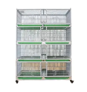 Cage à pigeons de course en fil métallique Cage d'élevage de pigeons Couleur Bouton pression Usine Personnalisée Couches de haute qualité Métal TT Oiseaux en acier inoxydable