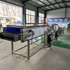 Machine à laver les légumes à haute pression / Machine à laver les carottes / Laveur <span class=keywords><strong>de</strong></span> gingembre - Product Image 4
