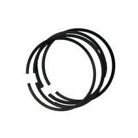 Vente en gros d'usine, haute qualité, chemise de cylindre et segment de piston pour Isuzu JMC 8-94152711-1