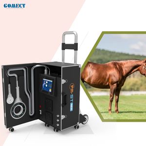 Vật Lý Trị Liệu Thiết Bị <span class=keywords><strong>Laser</strong></span> Điều Trị Đau Ngựa Magneto Vật Lý Trị Liệu Pemf Điều Trị Từ Tính Thiết Bị - Product Image 1
