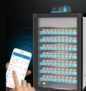 CY-160 tam otomatik inkübatör yumurta kuluçka makinesi 220v 150w yumurta kuluçka güç ev kullanımı küçük boyutlu mini kuluçka - Product Image 1