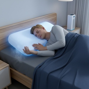 Customize Standard Queen Size Heating and Cooling Pillowcase Water Circulation Cooling Pillow <b>Cover</b> for Hot Sleeper - Product Image 2