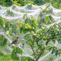 Filet anti-oiseaux robuste en rouleau de 50 m pour la protection des vignobles, des vergers, des baies et comme dissuasion pour les jardins - Vente en gros (Royaume-Uni)
