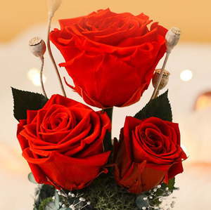 Composizione di Rose Rosse Stabilizzate in Cupola di Vetro con Confezione Regalo, Decorazione Floreale Eterna per San Valentino e Anniversari - Product Image 3