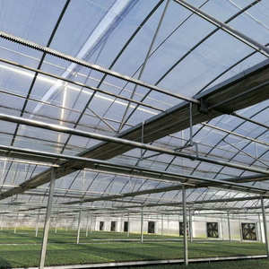Multi span casa verde marcos de acero galvanizado con sistema de refrigeración para el cultivo de caracoles - Product Image 3