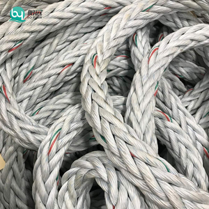 Hoge Sterkte Druable Uhmwpe Koord 12-Strengen 5 Mm 10Mm 12Mm Hmpe Holle Gevlochten Touw Voor Lier Voor Afmeren - Product Image 1
