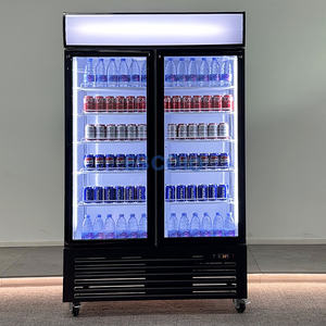 El Mejor Refrigerador Comercial de Doble <span class=keywords><strong>Puerta</strong></span> con Vitrina de Vidrio, Enfriador de Bebidas Vertical en Venta - Product Image 2
