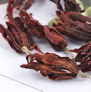 ดอกมิชลิเลียอัลบ้าแท้จาก100% - Product Image 2