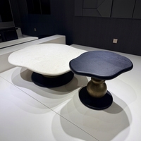 Ensemble de tables basses gigognes contemporaines extra larges 2 pièces en bois noir durable pour salon et décoration intérieure moderne