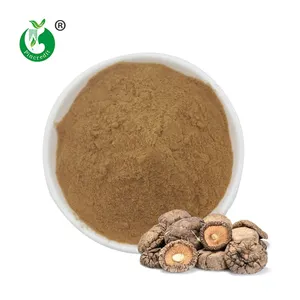 China Supplier Pure Organic Shiitake Mushroom Extract Powder Polysaccharide