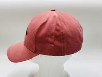 Op maat gemaakte, hoogwaardige, geborduurde petten met fruitmotief, verstelbaar, geschikt voor alle seizoenen, voor heren en dames.