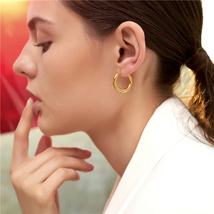 Women Fashion Gold <strong>Silver</strong> Stainless Steel <strong>Small</strong> <strong>Hoop</strong> Earrings Minimalist Jewelry Earring <strong>Hoops</strong> - Product Image 5