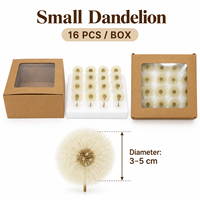 Kotak Hadiah Bunga Kering Dandelion Awet Langsung dari Pabrik, Dandelion Abadi Tahan Lama untuk Dekorasi Rumah, Perlengkapan Kerajinan Bunga DIY