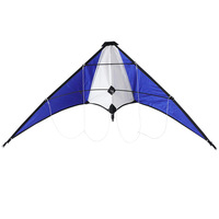 Ventes Flash : Cerf-volant de sport acrobatique Delta à double ligne, personnalisé, avec cadre en fibre de verre, portable, bleu et blanc