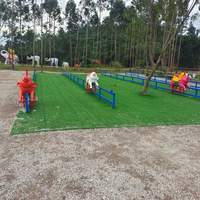 Équipement de parc d'attractions pour fermes et parcs de loisirs : Jeux de course à propulsion humaine, Course amusante tortue et lapin sur piste