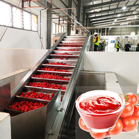 Draagbare tomatenketchup verwerkingslijn, eenvoudige tomatenpuree productiemachine voor kleine bedrijven
