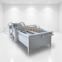 Laveuse de fruits et de légumes 2026 à économie d'énergie, machine à laver et à peler les légumes à feuilles, machine à laver à bulles en gros