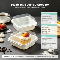 Boîtes à pâtisserie en PET transparentes avec fenêtre frontale, modèle DT-206, personnalisables avec logo, jetables, carrées, en kraft, pour pain, gâteaux, cadeaux, donuts
