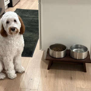 Table à manger personnalisée et moderne en bois pour chats et chiens avec double gamelle, mobile et démontée pour animaux de compagnie - Product Image 2