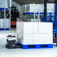 Palette en plastique hygiénique vierge de qualité alimentaire HDPE pour l'affichage des produits