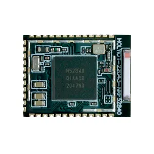 Holyiot Gloednieuwe Chip Nrf52840 Mesh Lange Afstand Controle Data Transfer Bluetooth Module