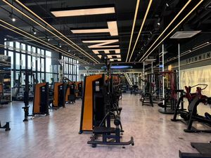 Machine professionnelle SPL23 en acier pour barre dorsale frontale, équipement de fitness commercial pour la <span class=keywords><strong>musculation</strong></span> et le renforcement corporel - Product Image 4