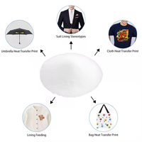 Poudre de transfert thermique en gros, colle thermofusible douce, adhésif thermofusible, poudre TPU blanche pour impression DTF sur imprimante DTF