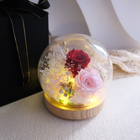 Konservierte Rosenblüten-Kuppel mit LED-Nachtlicht, zwei konservierte Rosen, Muttertag, Geburtstagsgeschenk für Mama, Oma, Heimdekoration für den Tisch.