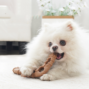 Jouets à mâcher pour chiens de petite et moyenne taille, bâton à mâcher IBone pour soulager l'ennui et les dents, produit transfrontalier très demandé - Product Image 4