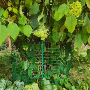 Piquets composites en fibre de verre de 10 mm de diamètre pour plantes 20 piquets composites pour jardin du fabricant - Product Image 4