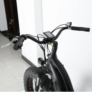 Vélo électrique à trois roues, <span class=keywords><strong>remorque</strong></span> cargaison, prix d'usine, bon marché, livraison avant - Product Image 5