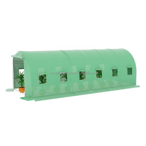 Invernadero hidropónico de tomate agrícola invernadero de casa verde a la venta - Product Image 2