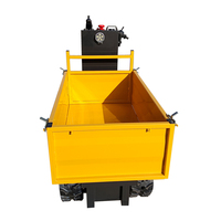 Mini-Raupen-Elektro-Transporter mit Fernsteuerung für den Garten – Dumper zum Verkauf