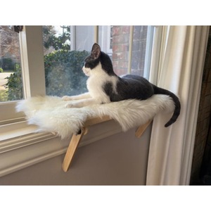 Plataforma de Madera para Gatos para Ventana, 20x60cm 30x60cm, Cama Rectangular Elevada para Gatos, Color Madera Natural, Área de Observación y Baño Solar - Product Image 3