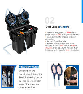 Máquina de Rehabilitación Pro PEMF con Terapia Magnética PEMT para Caballos, Gatos y Perros, Reparación Muscular, Refuerzo de la Inmunidad - Product Image 2