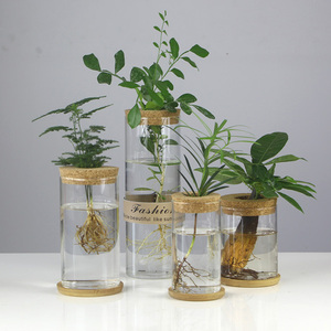 Terrario de Escritorio en Oferta, Estación de Propagación de Plantas de Aire, Florero con Base de Corcho para Decoración de Jardín - Product Image 3