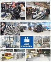 Fabricant de gros Tricycle Scooter électrique pour adulte