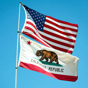 促销产品快速48小时运输定制3*5ft100% 聚酯任何标志丝网印刷户外耐用美国国旗 - Product Image 4