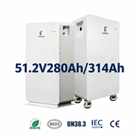 Paket Baterai LiFePO4 Lefor 51.2V 280/314Ah dengan BMS Terintegrasi, Proteksi IP65, 6000 Siklus untuk Penyimpanan Energi Surya, Sistem Grid-Tie Hybrid