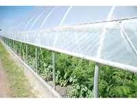 נמוך עלות פלסטיק לשפוך חד תוחלת מסחרי תות חממות פלסטיק סרט חממת מנהרה עבור חקלאי עגבניות