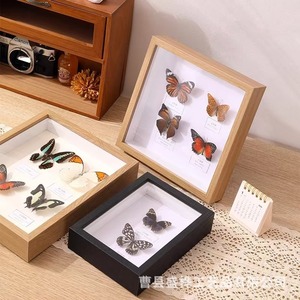 Cadre en bois pour spécimens d'insectes, boîte de rangement rectangulaire faite à la main pour l'affichage sur le bureau à domicile - Product Image 2