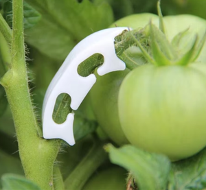 Clips <span class=keywords><strong>de</strong></span> support pour plantes <span class=keywords><strong>de</strong></span> tomates, pinces <span class=keywords><strong>de</strong></span> renforcement anti-pliage pour branches, supports robustes pour la fixation des tiges <span class=keywords><strong>de</strong></span> fruits et légumes - Product Image 6