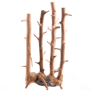 Dérive <span class=keywords><strong>bois</strong></span> naturel forêt branche ornement <span class=keywords><strong>bois</strong></span> <span class=keywords><strong>flotté</strong></span> bonsaï arbre aquarium paysage aquarium reptile décoration - Product Image 6