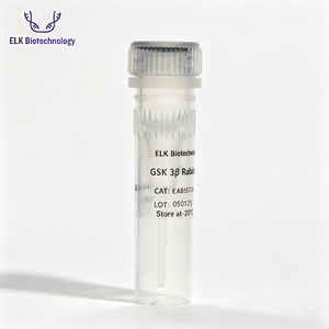 Anticorps polyclonaux de lapin <span class=keywords><strong>TIGAR</strong></span>, pour la recherche scientifique - Product Image 2