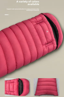 Sac de couchage en duvet d'oie blanc à 90% pour adultes, camping en plein air, portable, chaud, hiver, ultraléger, équipement de sac de couchage en duvet d'oie