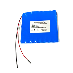 Paket Baterai Lampu Sorot Panggung Lithium Li Ion Isi Ulang 7.4v 11.1v 12v 14.4v 14.8v 21.6v 22.2v 24v 10ah 10.4ah 20ah 25ah - Product Image 2