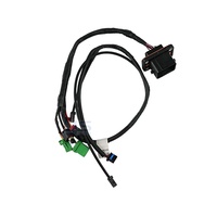 Cable de Actualización de Conector de Espejo Lateral Automotriz de Alta Calidad para Luz de Señal de Giro, Cableado Electrónico Resistente a Altas Temperaturas