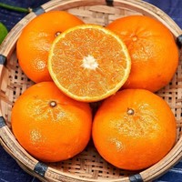 Exportateurs de fruits, fournisseurs de mandarines Wogan fraîches, achat de mandarines Orah biologiques à prix de gros