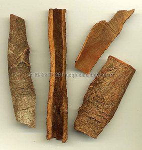 Top Grade Anti-Bacterial Cinnamon Bark <b>Oil</b> 100% Natural Herbal <b>Essential</b> <b>Oil</b> <b>for</b> Personal Care and Pure <b>Diffuser</b> - Product Image 2