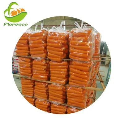Venda quente doce cenoura fresca cenoura da china